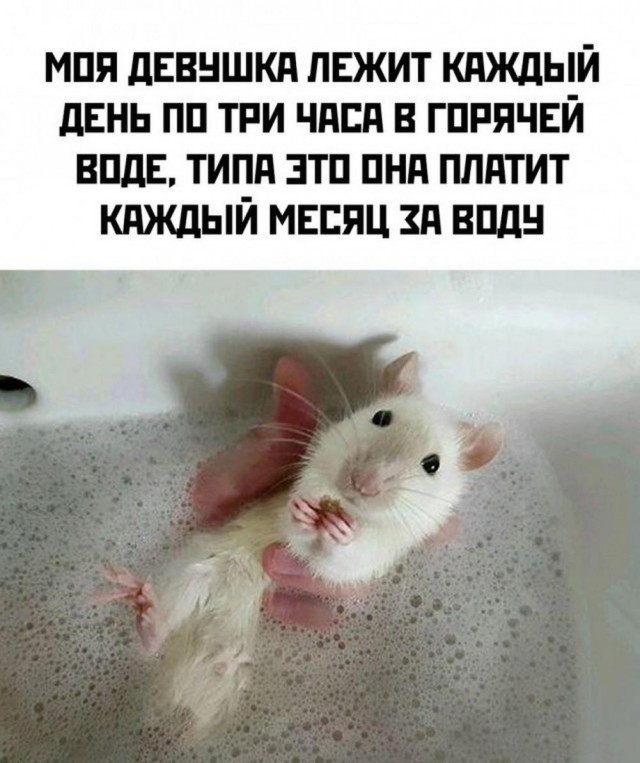 Нуштош 17.10.2024