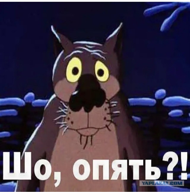 Человечество отупеет в течение следующих 20 лет: