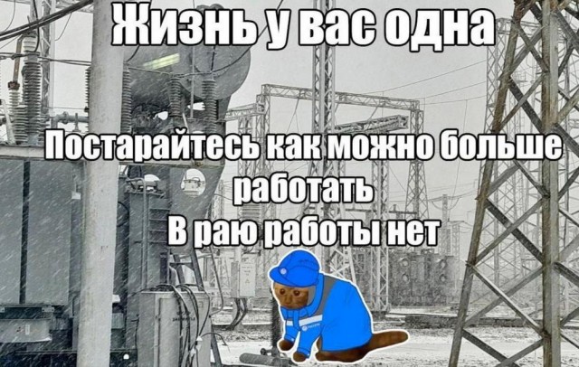 Меня твой шеф прислал