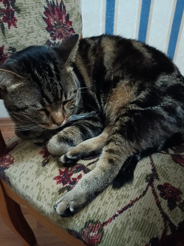 Блин. На меня пацан обиделся!