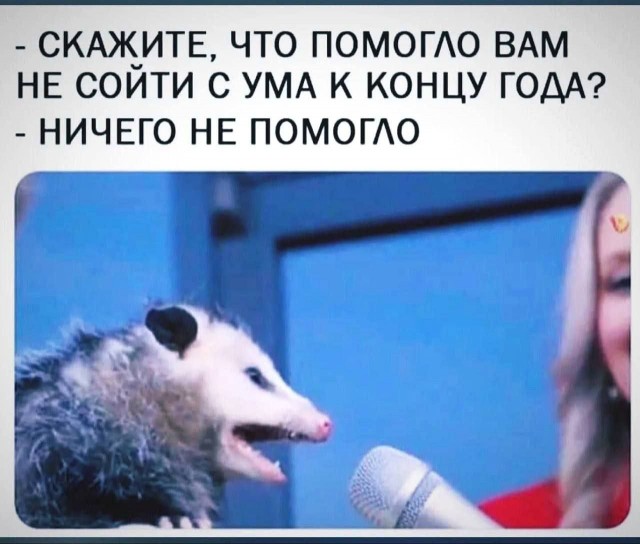 Всего понемногу. От 08.01.2025
