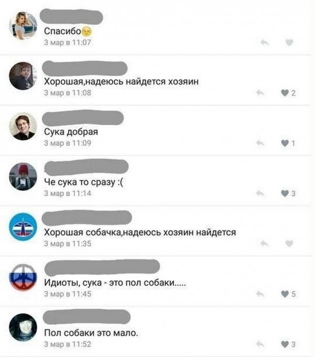 Всего понемногу. От 27.02.2025