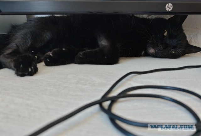 Его первый вторник