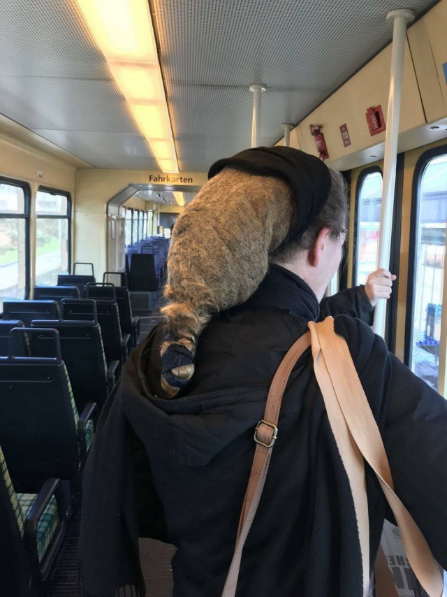 Подборка нормальных и ненормальных утренних картинок !