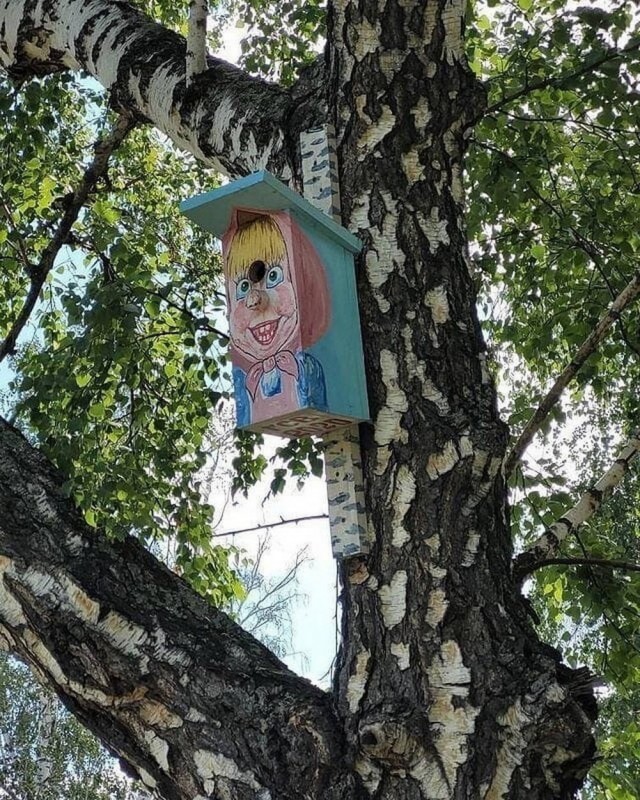 Ужасы нашего городка(с).