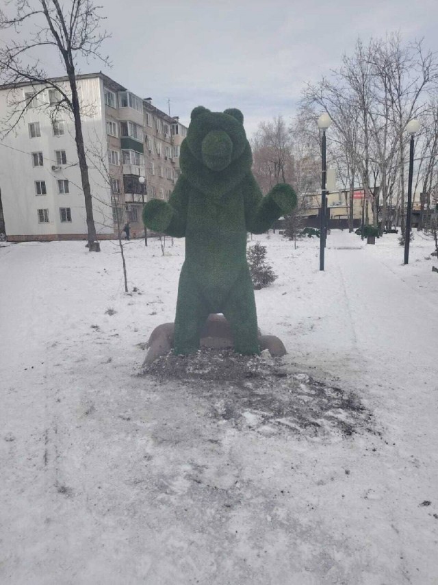 Медведю быть