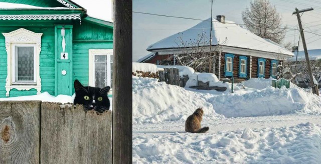 Сегодня за моим окном зима