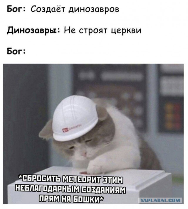 Котолик