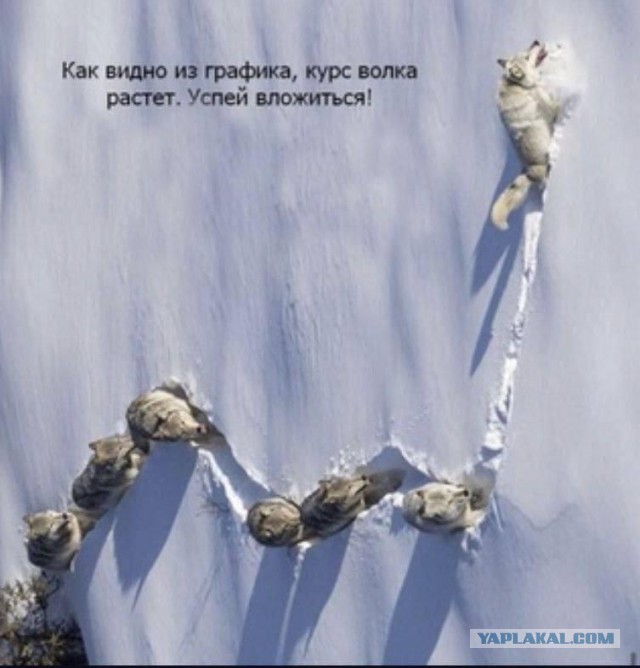 Картинки для деградации 137 (разной степени свежести)