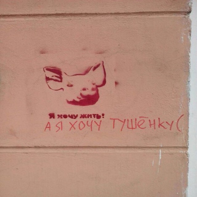 Картиночки, баянчики 04 марта