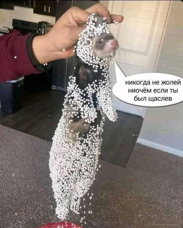 Ни о чем не жалею