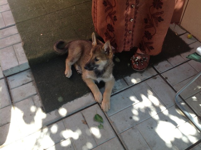 Эх! Не нарадуюсь!