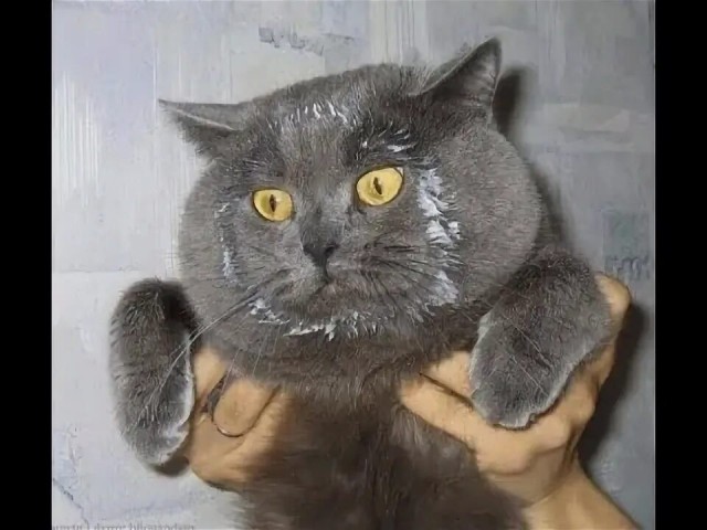Это не я!