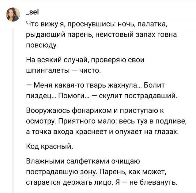 Именно ради таких историй вы и платите за интернет