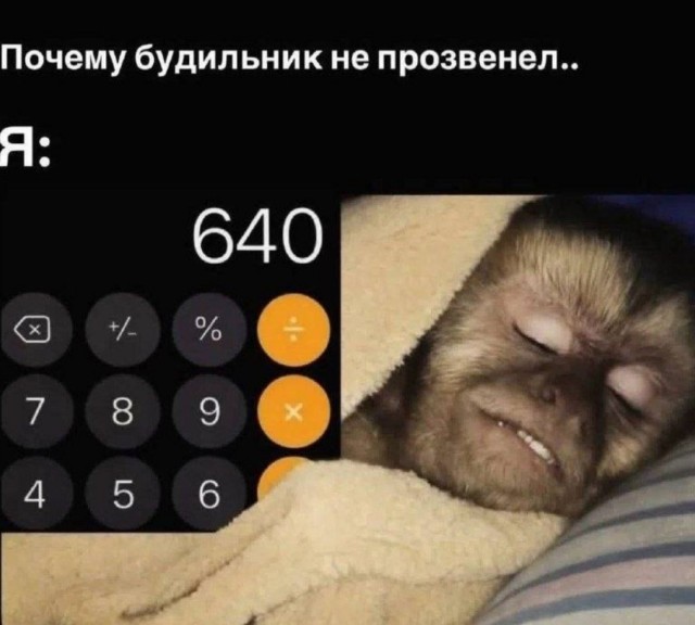 Серьёзно - не то слово
