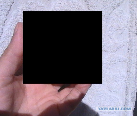 Случай на даче