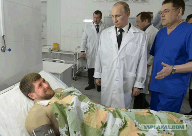 Под одеялом.Фотожаба.