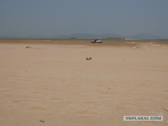 Природа Приморского края