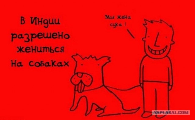 Забавные минифакты в картинках
