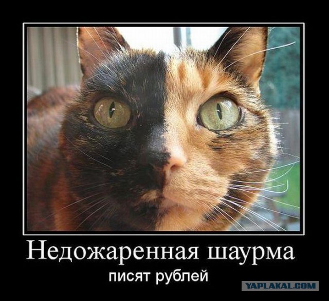 Демотиваторов пост, добавляйте свои
