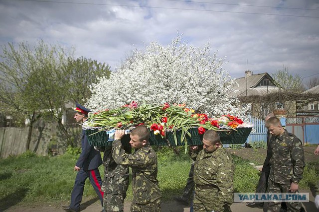 Полгода войны в Украине
