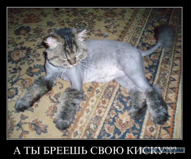 Судя по лицу, она не хочет показывать свою киску