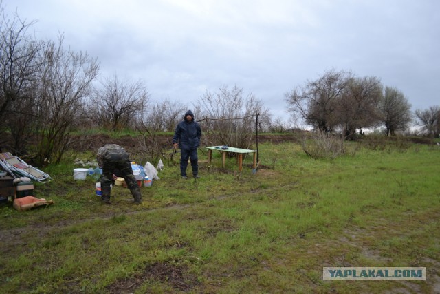 Рыбалка на воблу
