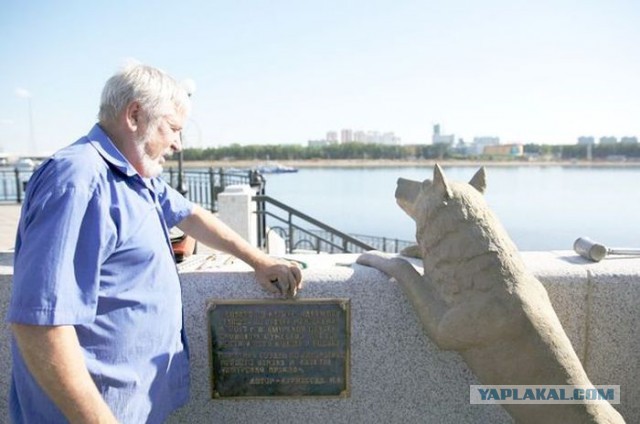 Памятник собаке по кличке Дружок