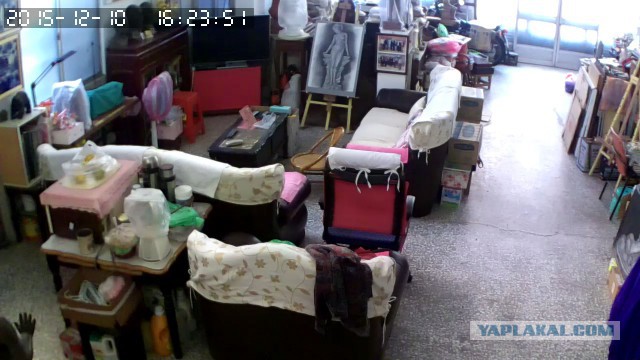 За что я люблю китайцев