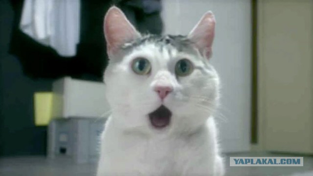 Стальные шары