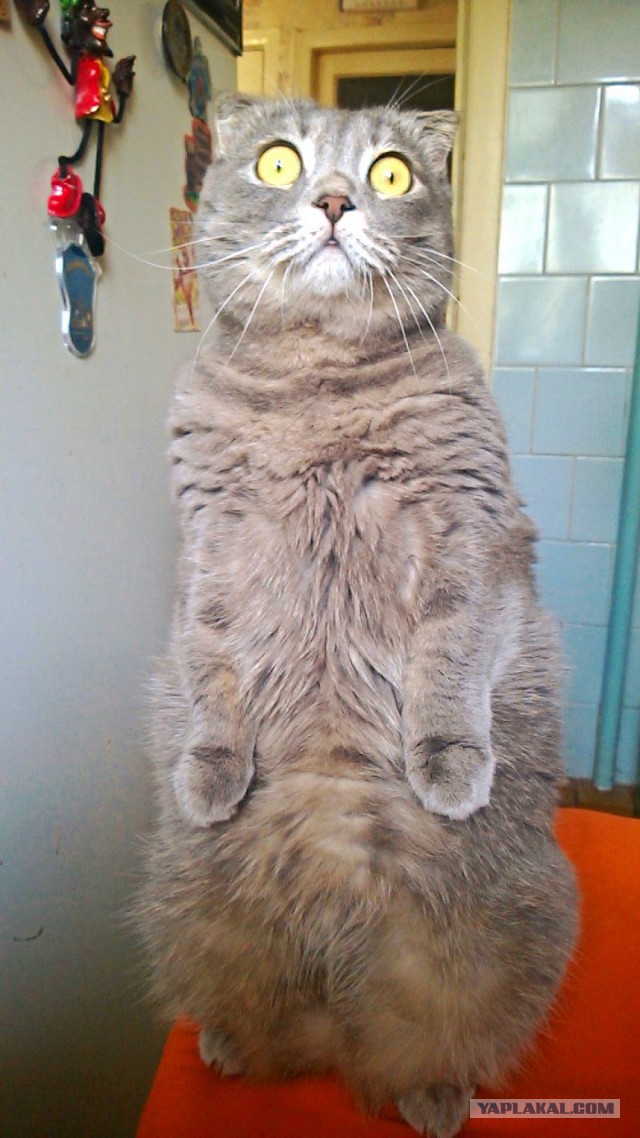 Подборка картинок