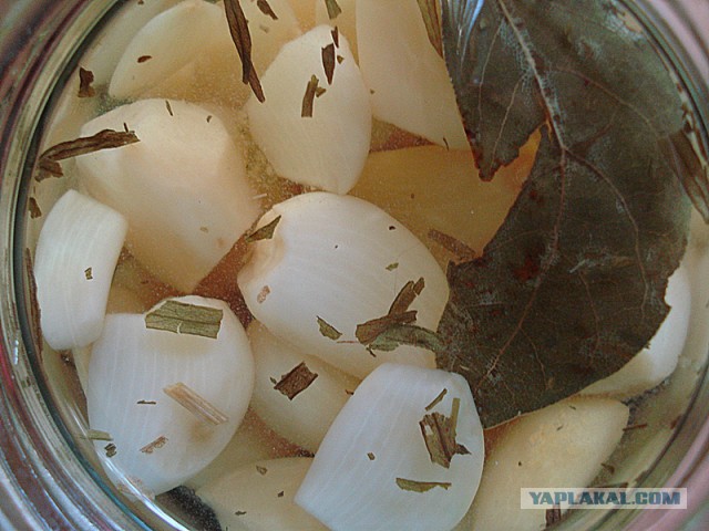 Готовимся к войне с вампирами. Время пришло