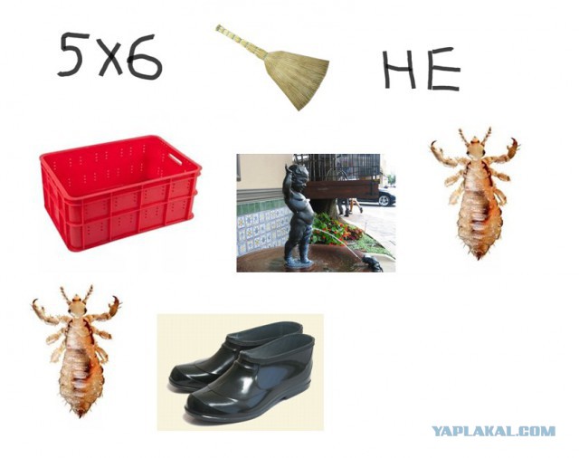 Грузинский ребус