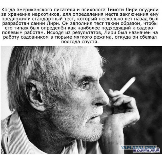 Картинки всяко-разные