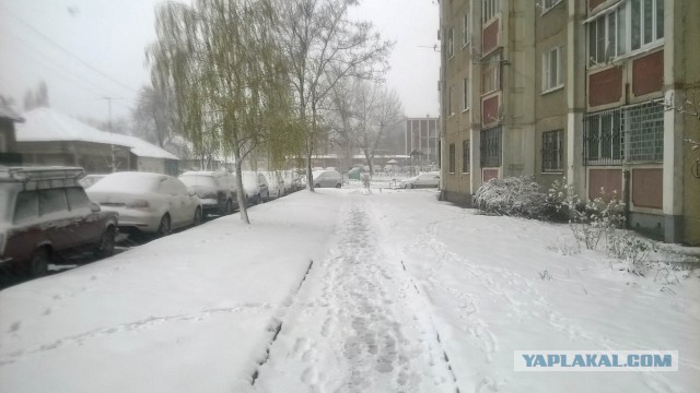 19 апреля или 78 февраля7