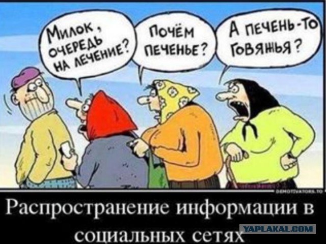 Оператор снял последние секунды жизни невесты в вертолёте, летевшей к алтарю.