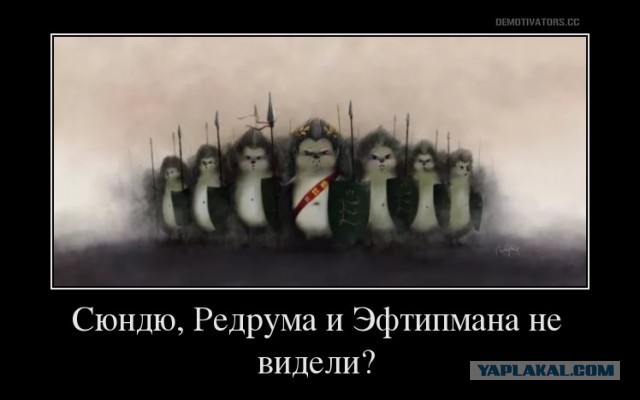 Беседка ФиС ЯПа