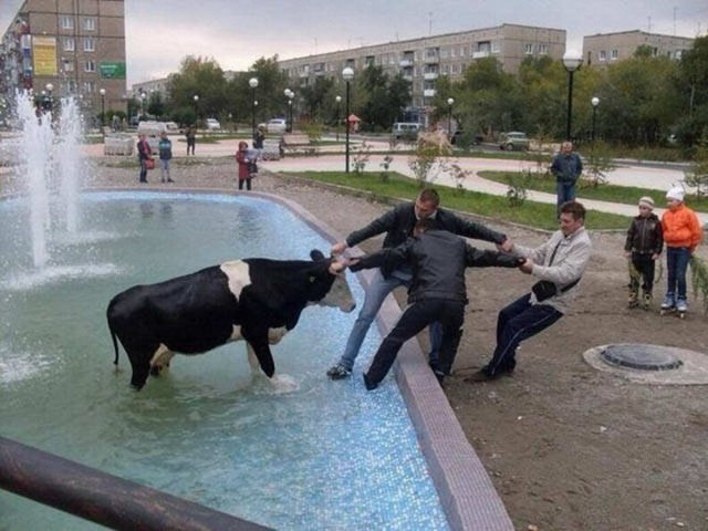 Трешак и вакханалия из соцсетей