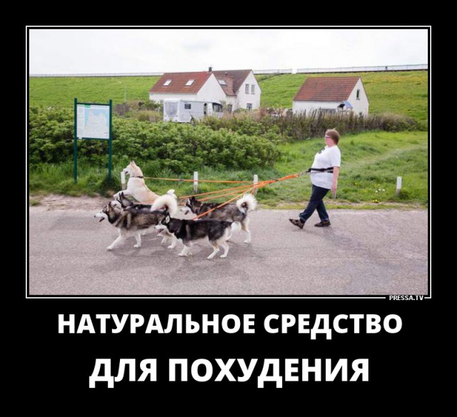 Картинки для настроения в пятницу.