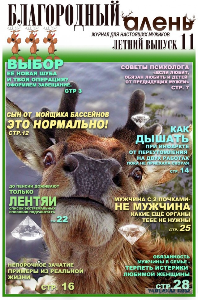 Обложки журналов "Благородный Алень"