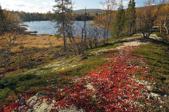 Осень. Заполярная рыбалка