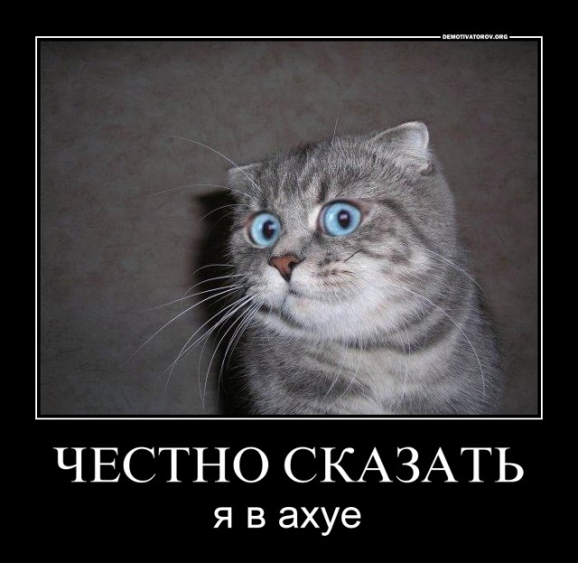 Друзья, необходимо ваше профессиональное мнение