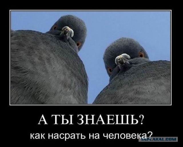 Реклама должна умереть?