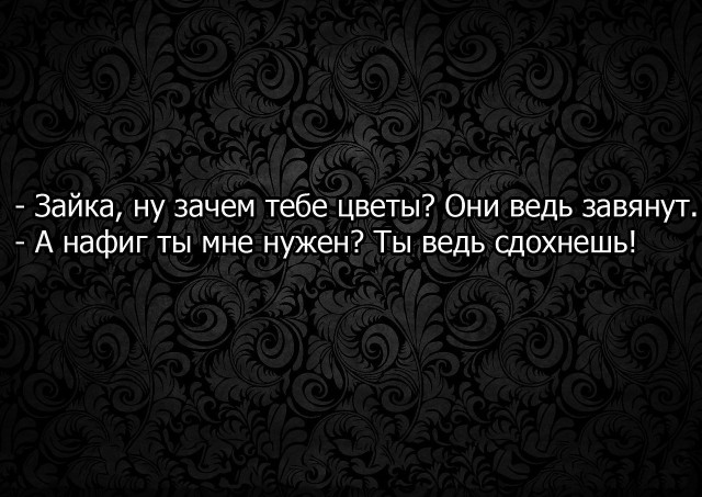 Черный юмор