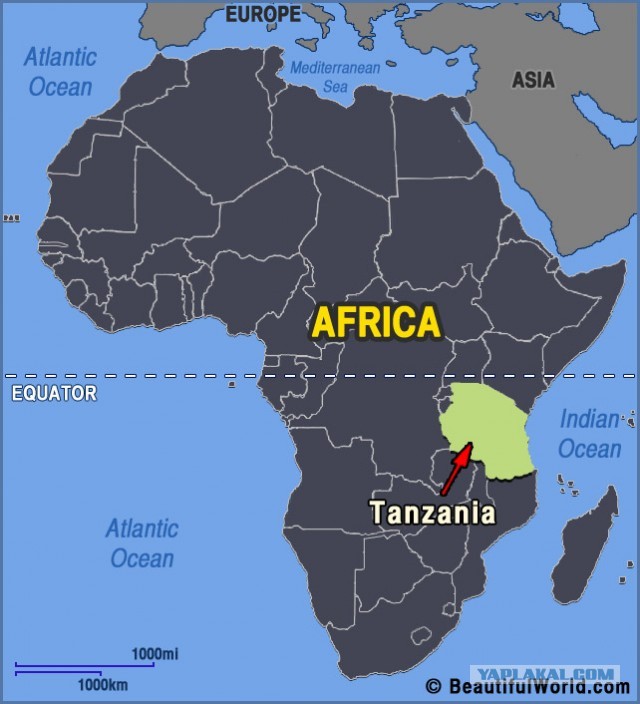 В Танзании не признают вирус, маски и вакцинацию. Страна объявлена свободной от COVID