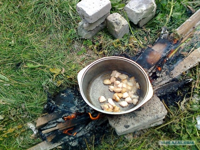 Пловские старания, ... эпическое полотно о Плове...