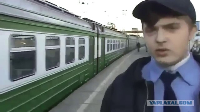 Суета с быдлом во дворе