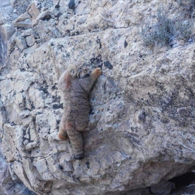 Картинки 07.11.21