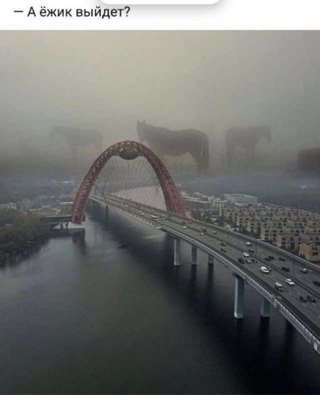 Делайте выводы