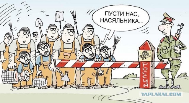 Как можно легко решить проблему мигрантов